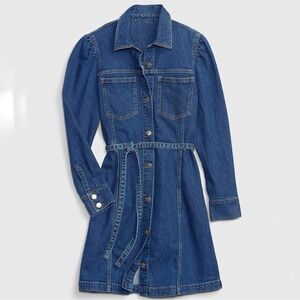 NWT Gap Denim Shirt Dress Tie Waist Long Sleeve 14 Tall Western Coastal Cowgirl